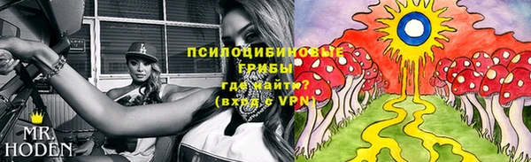 крисы Алексеевка