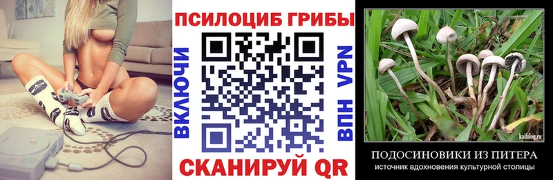 Псилоцибиновые грибы Magic Shrooms Йошкар-Ола