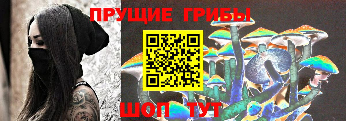 Галлюциногенные грибы Psilocybine cubensis  Псилоцибиновые грибы Psilocybine cubensis  Йошкар-Ола  Вход с VPN 